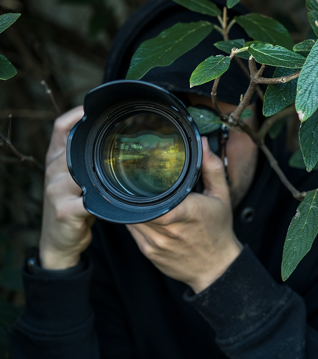 Camera lens through foliage